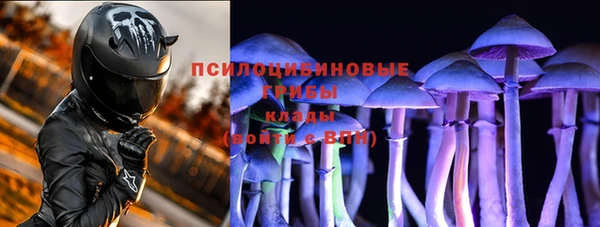 мяу мяу мука Заводоуковск