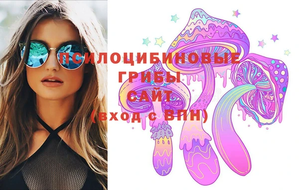 PSILOCYBIN Заволжск
