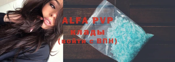 PSILOCYBIN Заволжск