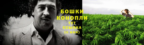 амф Заволжье