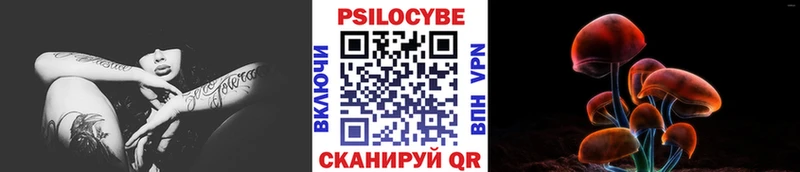 Галлюциногенные грибы мицелий  Купить  Пущино 